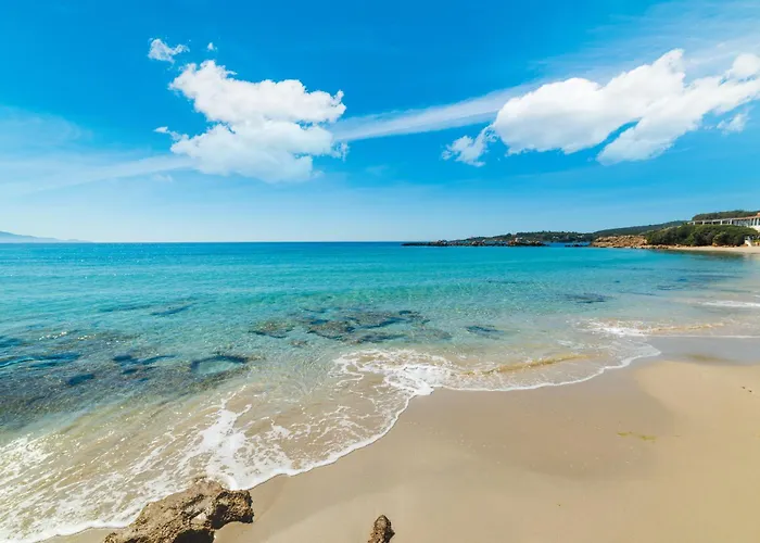 Clicksardegna Flavia With Seafront Terrace In The Porto Conte Nature Park بيت للعطل ألغيرو